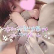 ヒメ日記 2025/02/04 15:02 投稿 ゆめ One More奥様　横浜関内店