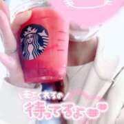 ヒメ日記 2025/04/16 14:16 投稿 ゆめ One More奥様　横浜関内店