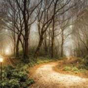 ヒメ日記 2026/02/11 08:25 投稿 やよい 梅田アバンチュール