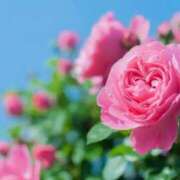 ヒメ日記 2026/02/13 08:26 投稿 やよい 梅田アバンチュール