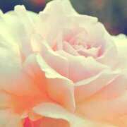 ヒメ日記 2026/02/14 08:17 投稿 やよい 梅田アバンチュール