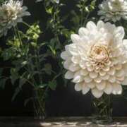 ヒメ日記 2026/02/16 07:58 投稿 やよい 梅田アバンチュール