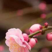 ヒメ日記 2026/02/27 07:30 投稿 やよい 梅田アバンチュール