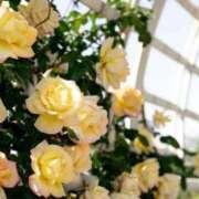 ヒメ日記 2026/03/02 07:34 投稿 やよい 梅田アバンチュール