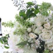 やよい ❄️寒の戻り❄️ 梅田アバンチュール