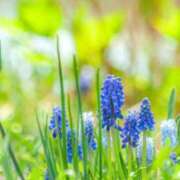 ヒメ日記 2026/03/13 05:30 投稿 やよい 梅田アバンチュール