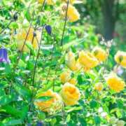 ヒメ日記 2026/03/14 05:13 投稿 やよい 梅田アバンチュール