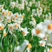 ヒメ日記 2026/03/15 05:06 投稿 やよい 梅田アバンチュール