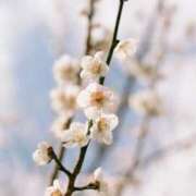 ヒメ日記 2026/03/15 19:30 投稿 やよい 梅田アバンチュール