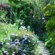 ヒメ日記 2026/03/19 20:09 投稿 やよい 梅田アバンチュール