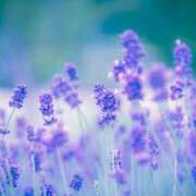 ヒメ日記 2026/03/20 05:22 投稿 やよい 梅田アバンチュール