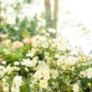 ヒメ日記 2026/03/25 05:00 投稿 やよい 梅田アバンチュール