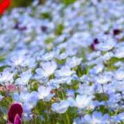 ヒメ日記 2026/03/26 05:28 投稿 やよい 梅田アバンチュール