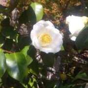 ヒメ日記 2026/03/27 04:58 投稿 やよい 梅田アバンチュール