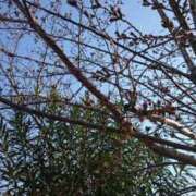 ヒメ日記 2026/03/27 22:01 投稿 やよい 梅田アバンチュール