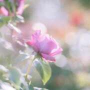 ヒメ日記 2026/03/28 05:21 投稿 やよい 梅田アバンチュール