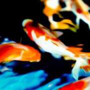 ヒメ日記 2026/03/30 05:14 投稿 やよい 梅田アバンチュール