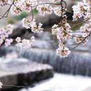 ヒメ日記 2026/04/01 16:44 投稿 やよい 梅田アバンチュール