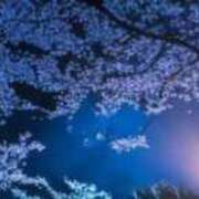 ヒメ日記 2026/04/03 22:02 投稿 やよい 梅田アバンチュール