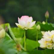 ヒメ日記 2026/04/08 04:45 投稿 やよい 梅田アバンチュール