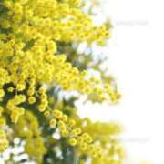 ヒメ日記 2026/04/09 05:15 投稿 やよい 梅田アバンチュール