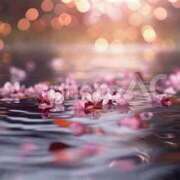 ヒメ日記 2026/04/10 04:43 投稿 やよい 梅田アバンチュール