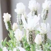 ヒメ日記 2026/04/14 04:45 投稿 やよい 梅田アバンチュール