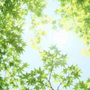 ヒメ日記 2026/04/17 16:45 投稿 やよい 梅田アバンチュール