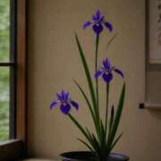 ヒメ日記 2026/05/05 16:15 投稿 やよい 梅田アバンチュール