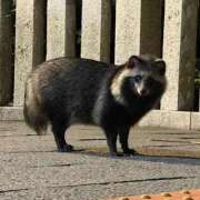 ヒメ日記 2025/11/05 10:49 投稿 ななせ One More奥様　八王子店