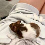 ななせ 相棒🐹 One More奥様　八王子店