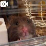 ヒメ日記 2026/08/07 11:09 投稿 ななせ One More奥様　八王子店