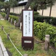 ヒメ日記 2026/08/14 11:59 投稿 ななせ One More奥様　八王子店