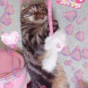 ヒメ日記 2025/12/26 01:33 投稿 しいな 逢って30秒で即尺