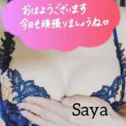 ヒメ日記 2025/05/08 08:26 投稿 咲優(さや) 人妻出逢い会 百合の園 品川店