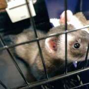 ヒメ日記 2025/05/20 10:41 投稿 みずき ラ・タンゴ