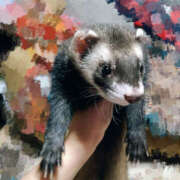 ヒメ日記 2025/05/24 10:38 投稿 みずき ラ・タンゴ