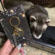 ヒメ日記 2025/05/31 10:24 投稿 みずき ラ・タンゴ