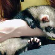 ヒメ日記 2025/07/03 11:06 投稿 みずき ラ・タンゴ