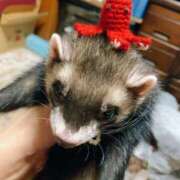 ヒメ日記 2025/07/12 10:52 投稿 みずき ラ・タンゴ