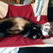 ヒメ日記 2025/07/21 10:48 投稿 みずき ラ・タンゴ