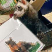 ヒメ日記 2025/07/24 13:55 投稿 みずき ラ・タンゴ