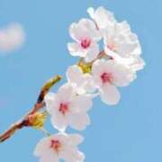ヒメ日記 2026/04/05 19:57 投稿 水上まい Mrs.Dandy Ueno