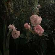 ヒメ日記 2024/12/20 20:51 投稿 高木 美玖 超LEXUS