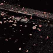 ヒメ日記 2024/12/21 14:41 投稿 高木 美玖 超LEXUS