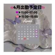 ヒメ日記 2025/03/31 20:51 投稿 高木 美玖 超LEXUS