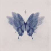 ヒメ日記 2025/06/08 23:21 投稿 高木 美玖 超LEXUS