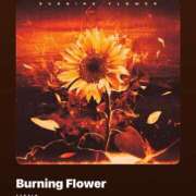 ヒメ日記 2025/07/01 14:21 投稿 高木 美玖 超LEXUS