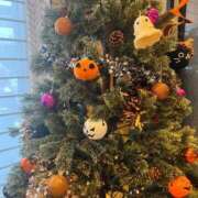 ヒメ日記 2025/10/30 14:40 投稿 小倉にこ 五十路マダム 岐阜店