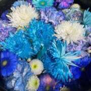 ヒメ日記 2025/11/10 15:16 投稿 小倉にこ 五十路マダム 岐阜店